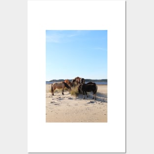 Assateague Beach Ponies Series - 04 Posters and Art